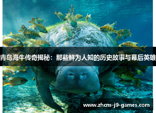 青岛海牛传奇揭秘：那些鲜为人知的历史故事与幕后英雄